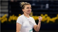 Halep and Svitolina crash out as Muguruza and Kontaveit ease through in Doha
